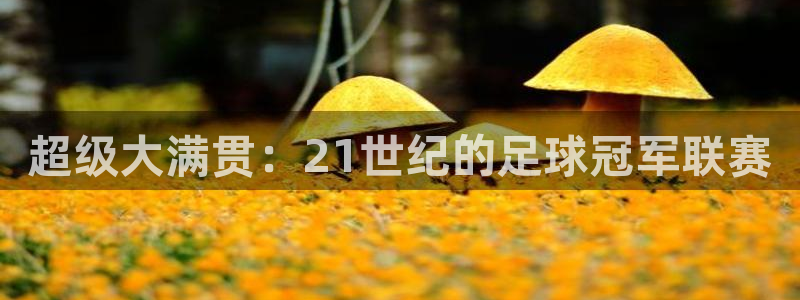 世界杯预选赛2026:超级大满贯:21世纪的足球冠军联赛