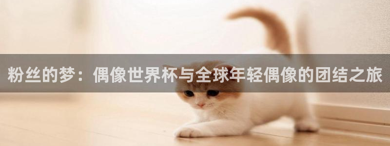 世界杯2026赛程时间表格:粉丝的梦:偶像世界杯与全球年轻偶像的团结之旅