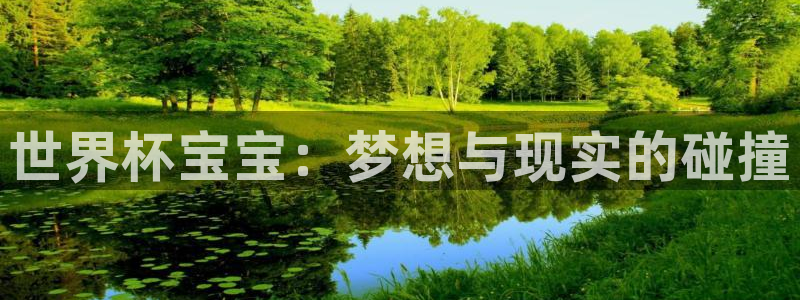 足球比分直播世界杯:世界杯宝宝:梦想与现实的碰撞