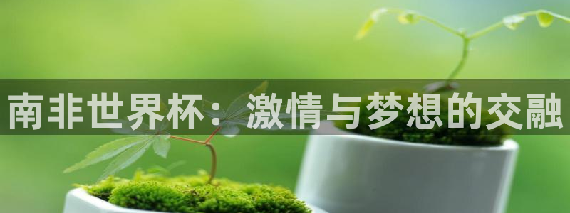 男足世界杯预选赛赛程:南非世界杯:激情与梦想的交融