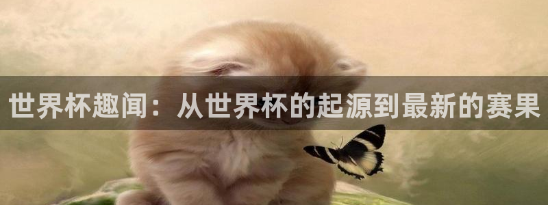 世界杯48支球队赛制:世界杯趣闻:从世界杯的起源到最新的赛果