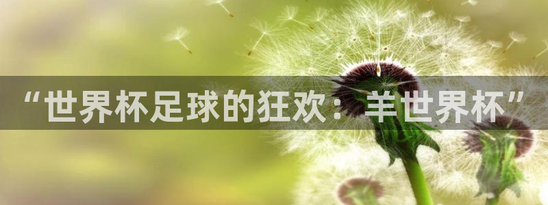 足球世界杯2026年赛程时间表:“世界杯足球的狂欢:羊世界杯”