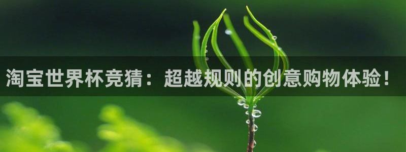 2026足球世界杯赛程:淘宝世界杯竞猜:超越规则的创意购物体验!