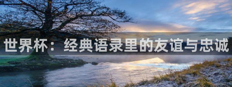 看世界杯:世界杯:经典语录里的友谊与忠诚
