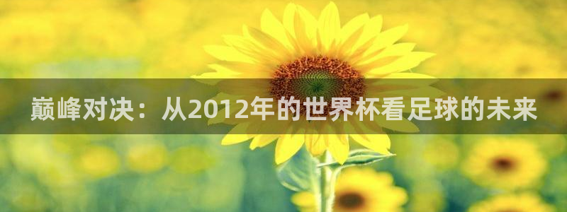 世界杯直播在线观看入口:巅峰对决:从2012年的世界杯看足球的未来